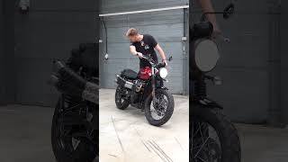 Triumph Scrambler 900 RAW AUDIO  Gorgeous 😍🔥 triumph scrambler [upl. by Lichter227]