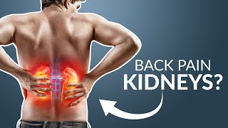 Common Causes of Kidney and Back Pain [upl. by Ativak]