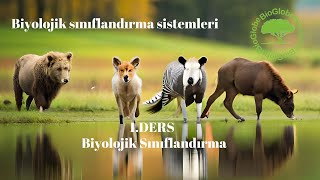 quotYENİ MÜFREDATquot 9Sınıf  Biyolojik sınıflandırma sistemleri [upl. by Renfred]