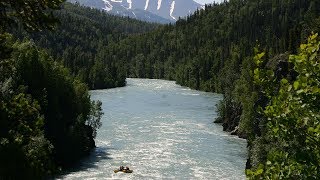 Activities at Kenai Riverside Lodge [upl. by Odnamla]