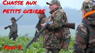 Chasse aux perdreaux et faisans dans la Somme part 3 [upl. by Jariah]