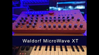 Waldorf MicroWave XT [upl. by Sidonie]