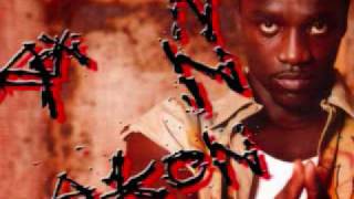 Akon  Struggle Everyday  Lyrics [upl. by Worden]