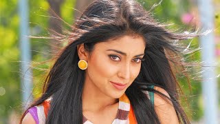 Daringbaaz Lover l Shriya Saran l South Superhit Romantic Comedy Movie l Dhanush Prakash Raj [upl. by Coveney]