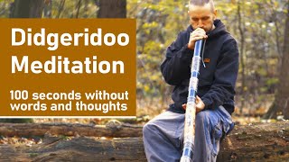 Didgeridoo Meditation  100 seconds without words and thoughts  Thousand Hands [upl. by Cassandra]