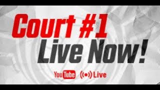 Court 1 Live Stream Elgin IL [upl. by Merry]