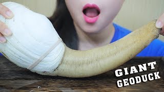 ASMR BOILED GIANT GEODUCK EXOTIC FOOD EXTREME EATING SOUNDS  LINHASMR [upl. by Siuqramed]