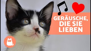 7 GERÄUSCHE die KATZEN lieben 🐱🔊  Geräusche um deine KATZE ANZULOCKEN ✅ [upl. by Whitby622]