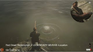 Red Dead Redemption 2 LEGENDARY MUSKIE Location ปลาในตำนาน [upl. by Carmel488]