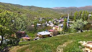 GİRESUN ÇAMOLUK KUTLUCA KÖYÜ 🇹🇷🌾 [upl. by Guinna715]