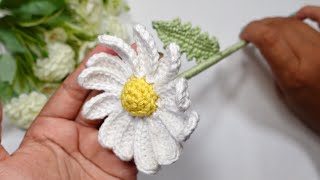 MARGARITAS A CROCHET 🌸 PATRÓN 3D PASO A PASO  FÁCIL Y RAPIDO [upl. by Yarrum]