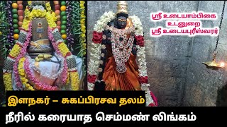 இளநகர் சுகப்பிரசவ தலம் திரும்பும் நந்தி உடையீஸ்வரர் உடையாம்பிகை Elanagar Kanchipuram Ilanagar சிவன் [upl. by Lane]