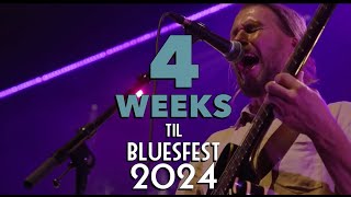 Bluesfest 2024  4 Weeks To Go [upl. by Nylodam]