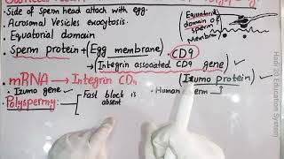 Gamete Fusion And Prevention Of Polyspermy  Ch 4  Lec No 16  Developmental Biology  BS Zoology [upl. by Yrreg]