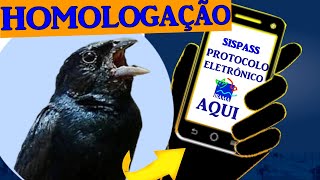 Homologação PasseriformesSispass pelo Celular IneaIbama [upl. by Anirtik]