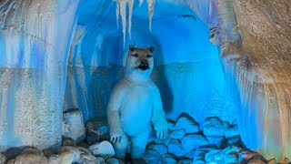 ice cave land😶‍🌫️ NjFamily3 music youtubeshorts youtube [upl. by Ahsekin]