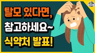 샴푸 쓰시나요 식약처 발표 탈모 있으신 분들 참고하세요 [upl. by Jaquenetta]