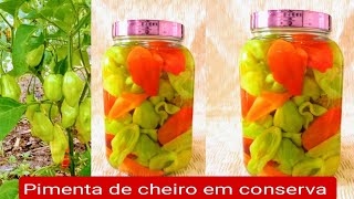 RECEITA DE PIMENTA DE CHEIRO EM CONSERVA APRENDA FAZER [upl. by Steiner199]