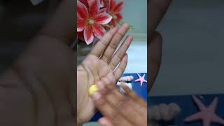 DIY seashells Seashell diy diycrafts craft views viralshorts viralreels [upl. by Vachil359]