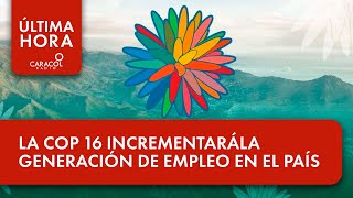 La COP 16 incrementará la generación de empleo en el país  Última Hora Caracol [upl. by Aivyls303]