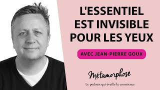 460 JeanPierre Goux  Lessentiel est invisible pour les yeux [upl. by Roxie]