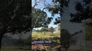 Winter Sun December Nature nature vlog [upl. by Arodasi]