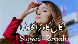 Kawra Kawra Shafaullah Khan Rokhri New song Slowedreverb [upl. by Butterfield]