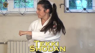 Tekki Shodan Kata  Karate Shotokan  by Master Di [upl. by Esinaj]