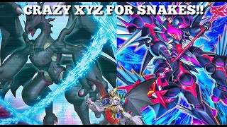 Reptiles With Some Crazy Xyz Combos Reptilianne Ogdoadic GuideDeck Profile  Yugioh Master Duel [upl. by Mccartan]