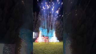 The best Fireworks gender reveal ever💙🎉✨ genderrevealideas genderreveal [upl. by Fedora]