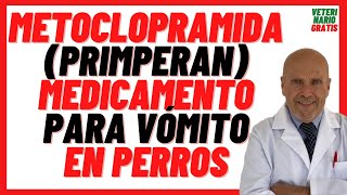 METOCLOPRAMIDA Primperan DOSIS en PERROS 🟣 Medicamento Antiemético para Cortar el VÓMITO en PERROS [upl. by Prue]