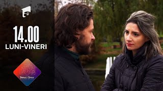 Orlando face primii pași de împăcare cu Camelia  Episodul 39 [upl. by Gwendolen853]