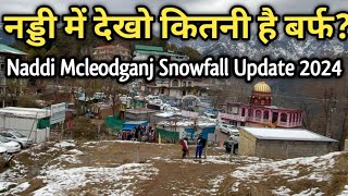 Naddi Mcleodganj Snowfall Update 2024Mcleodganj Snowfall 2024नड्डी मैक्लोडगंज में हुआ है Snowfall [upl. by Nwahsaj]