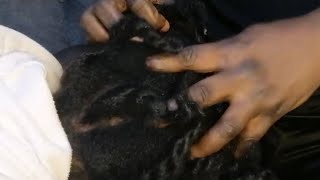 ASMR Relaxing Scalp Scratching and Head massage Ear Cleaning To Help You Relax [upl. by Senior]