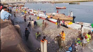 Gwadar fish market JT [upl. by Arihat287]