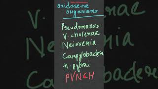 Oxidase test microbiological identification test biochemical test [upl. by Eerrahs581]