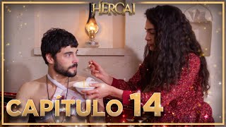 Hercai  Capítulo 14 [upl. by Abdella]