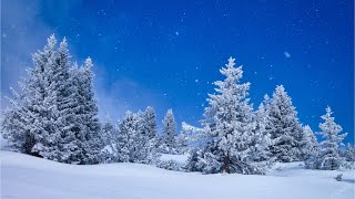 Beautiful Relaxing Music Peaceful Soothing Instrumental Music quotWinter Woodsquot by Tim Janis [upl. by Sirotek267]