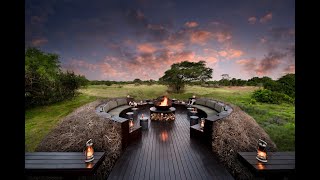 ampBeyond Phinda Forest Lodge  Phinda Game Reserve  South Africa [upl. by Lehcor]