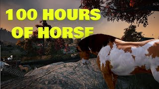 100 Hours Of Horse Catching For This Upgrade  Black Desert Ultimate Ironman [upl. by Hunfredo198]