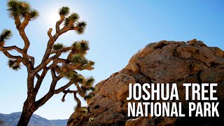 Joshua Tree National Park [upl. by Kumar]