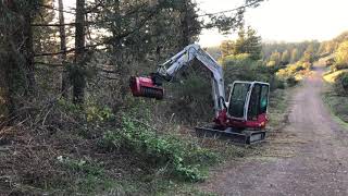 Fecon Mulcher Takeuchi TB260 Excavator [upl. by Baily239]