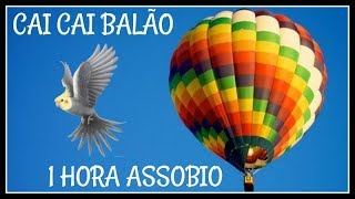 ASSOBIO CALOPSITA  CAI CAI BALÃO [upl. by Tjader]