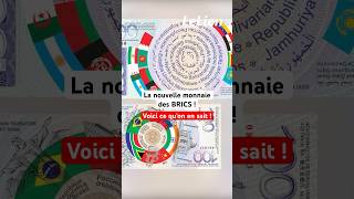 La nouvelle monnaie des BRICS  Voici ce quon en sait  الجزائر algerie foryo [upl. by Ssidnac]