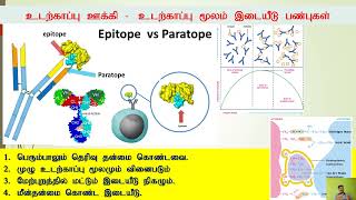 Immunology  Summary Tamil Part 5 [upl. by Akinat]