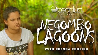 Sustainability of the Negombo Lagoons with Chenoa Rodrigo [upl. by Daukas]