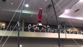 Donnell Whittenburg  Still Rings  2014 Winter Cup Challenge Finals [upl. by Nytsirk]