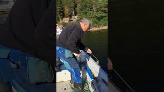 crab fisking with slaugen very Nice wetherfishing [upl. by Adnoval]