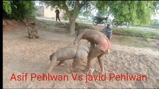 Fight Asif Pehlwan Vs javid Pehlwan [upl. by Louanna889]