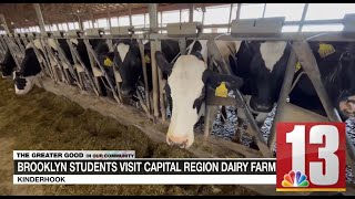 Brooklyn students visit Kinderhook dairy farm [upl. by Danialah944]